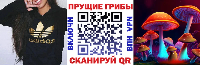 Псилоцибиновые грибы GOLDEN TEACHER  Крымск 