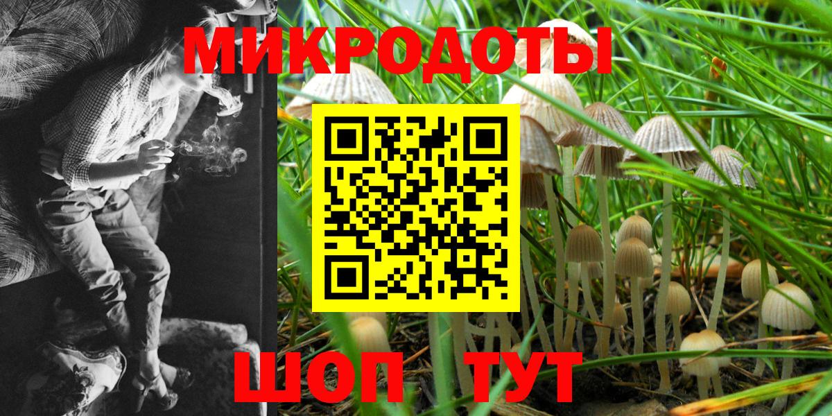 Крымск  Псилоцибиновые грибы GOLDEN TEACHER  Галлюциногенные грибы прущие грибы  цена   Вход с VPN 
