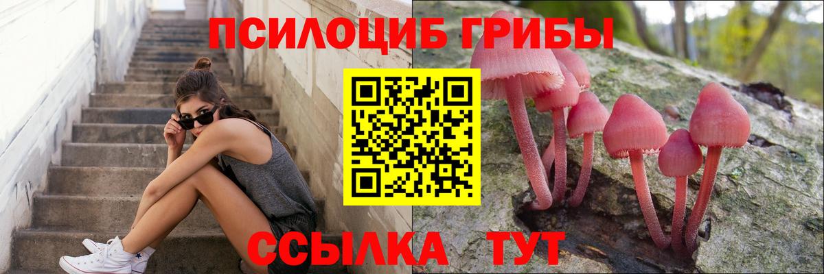 Галлюциногенные грибы Psilocybine cubensis Крымск