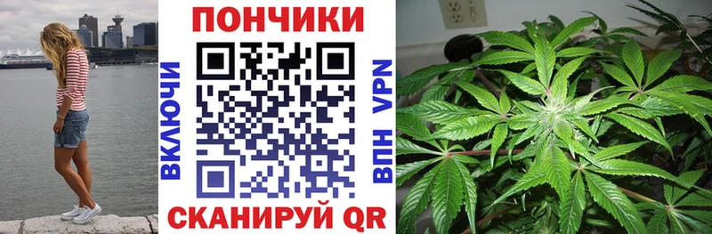 купить  цена  Крымск  Бошки марихуана Amnesia 